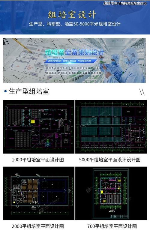 生姜組培苗工廠化生產(chǎn)技術(shù)及組培儀器設(shè)備清單與網(wǎng)絡(luò)技術(shù)開發(fā)設(shè)計(jì)融合應(yīng)用